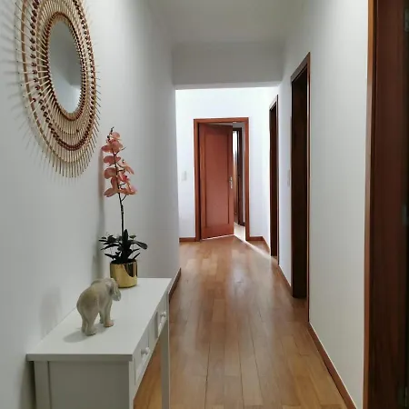 Pico Barcelos - Apartment Funchal (Madeira)